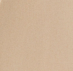 Helmsman Shorts swatch