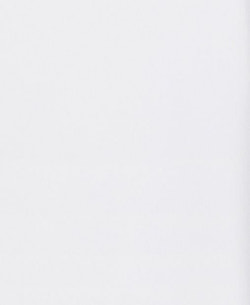 Leeward Formal Dress Shirt swatch